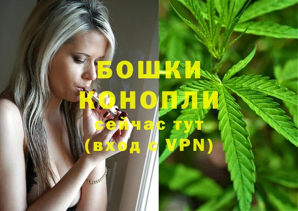 2c-b Богородицк