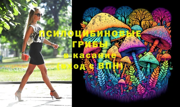 2c-b Богородицк