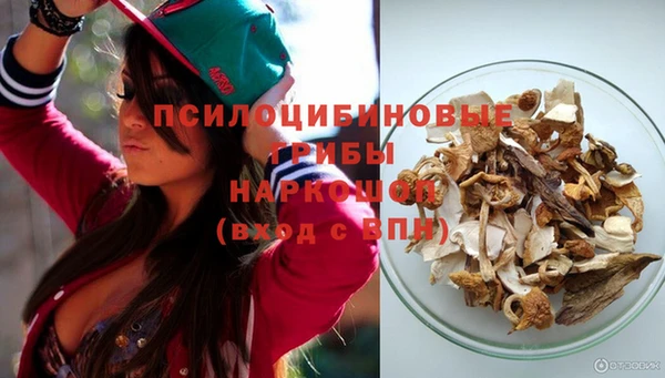 2c-b Богородицк